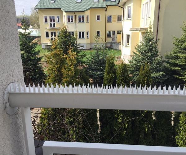 Шипи пластикові від птахів 5м 18мм білі Garden Line Київ - фото 3