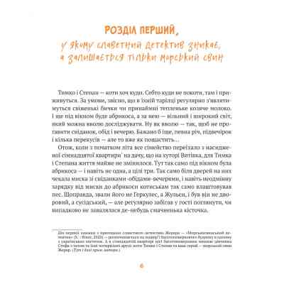 Книга Жерар на Витiвцi - Iван Андрусяк Vivat (9789669826558) Винница