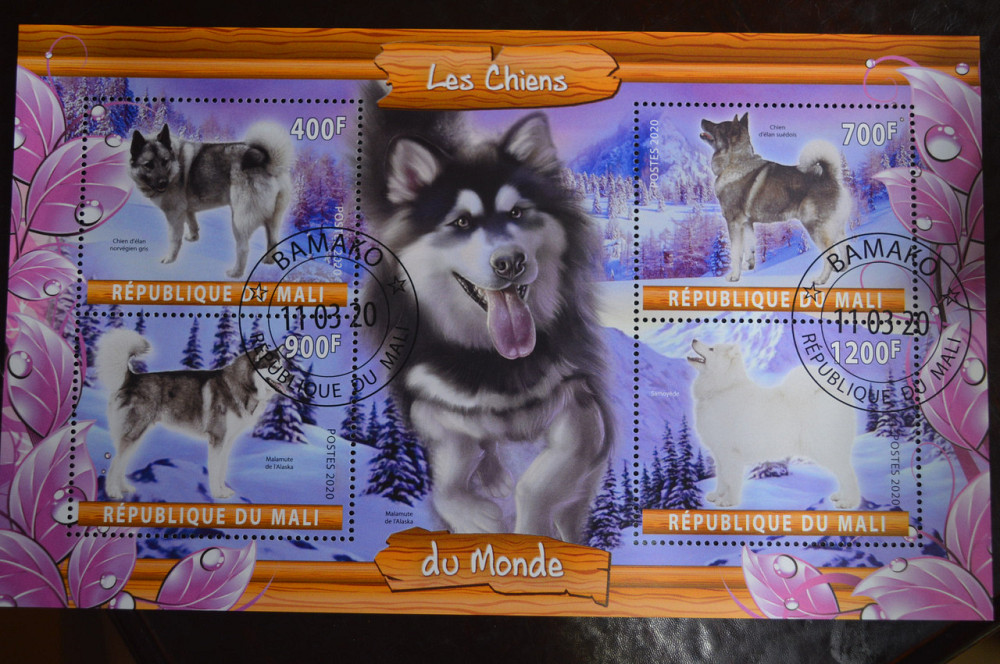 Мали. Марки. Фауна. Блок. 2020 год (В-2) Полтава - изображение 1