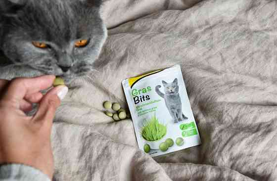 Вітамінізовані таблетки для котів GimCat Gras Bits трав'яні кульки, пауч, 425 г Вінниця