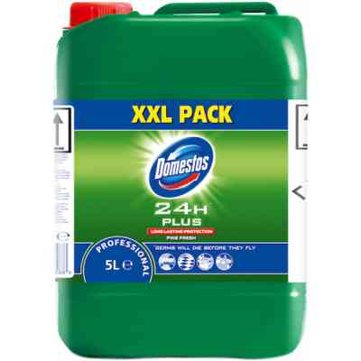 Жидкость для чистки ванн Domestos Professional Хвоя с дезинфицирующим эффектом 5 л (7615400179763) Винница