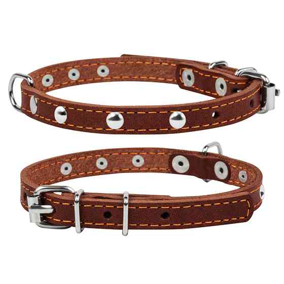 Нашийник "CoLLaR" одинарний з прикрасами (ширина 12мм, довжина 24-32см) коричневий Коломыя