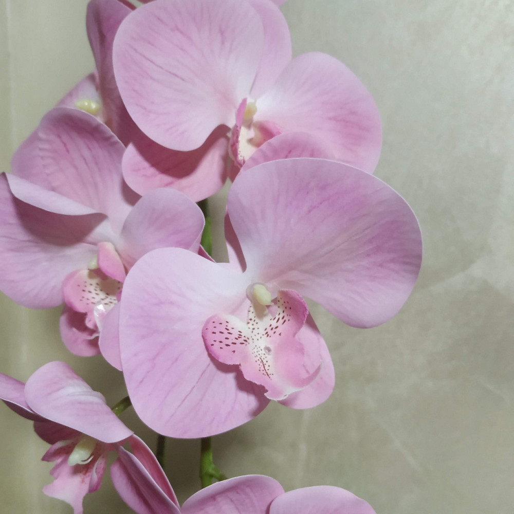 Штучна латексна орхідея VIP у сірому керамічному кашпо на одну рожеву гілку Дніпро - фото 2