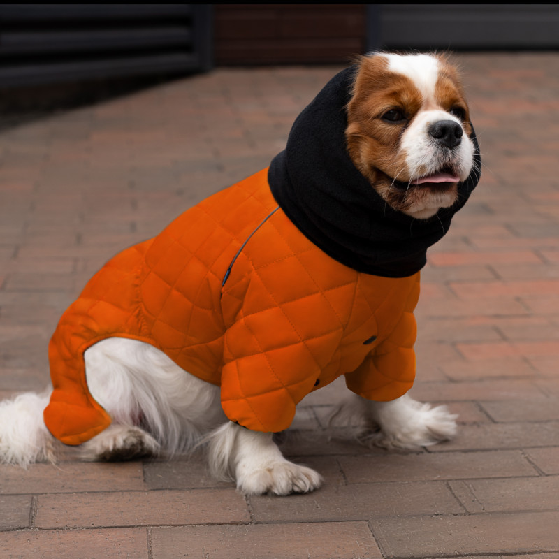 Зимовий комбінезон для собак теплий стьобаний на флісі Barksi Textile з хомутом Помаранчевий Одеса - фото 7