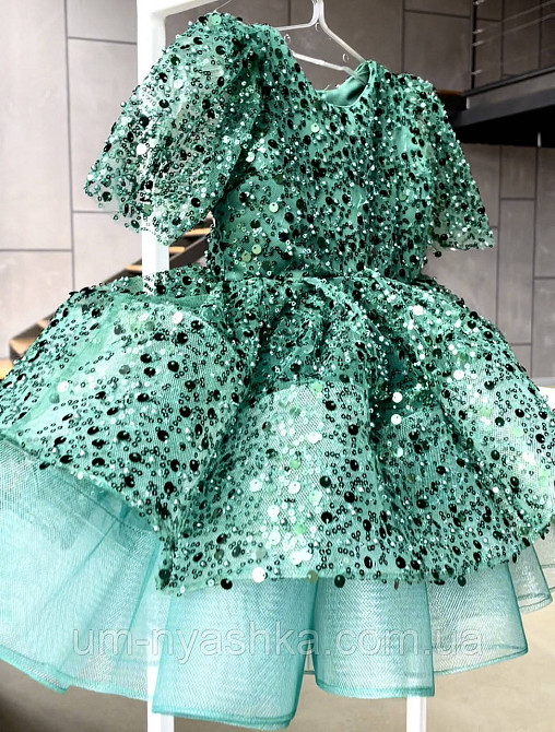 Красивое платье на годик Кривой Рог - изображение 1
