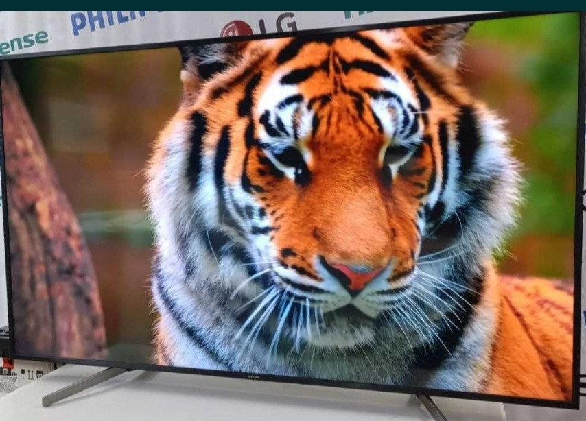 Телевизор Безрамный: 65