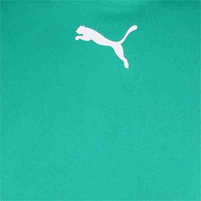 Футболка Puma teamRISE Jersey 704932-05 зелений L (4063699210323) Вінниця