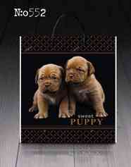 Пакет-сумка 40х45 з пластиковою ручкою  