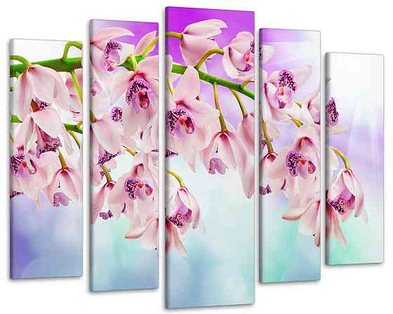 Модульна картина Квіти Орхідея Art-265_5 ( 80х118см ) Київ