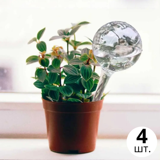 Колба для автоматического полива | Вазон в виде шара для сада, 4шт, капельный полив для растений, прозрачный Каменец-Подольский