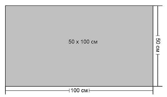 Картина полотно у вітальню / спальню Квітка   MLP_193    ( 60х30см ) 50x100 см Київ
