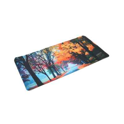 Коврик для мышки Voltronic Autumn road (R362) Винница