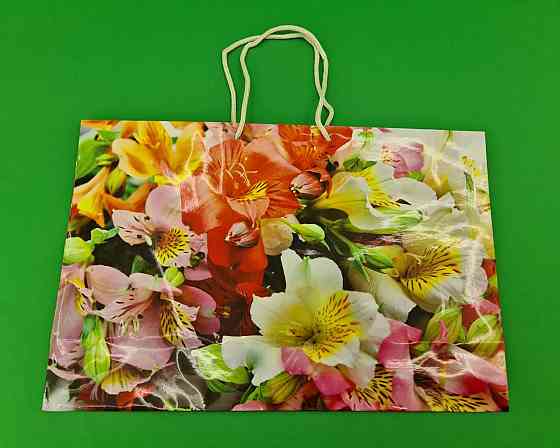 Бумажный большой горизонтальный пакет  36/22/10(артBG-080) (12 шт) Харьков