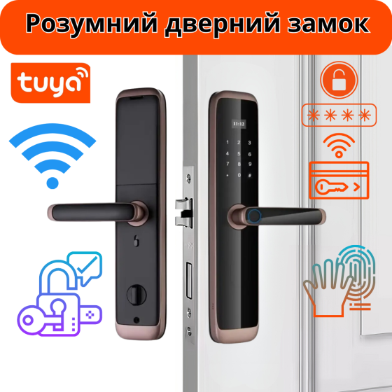 Розумний дверний замок кодовий з відбитком пальця і ключ-карткою KHS-X06, бронзовий Кам'янець-Подільський