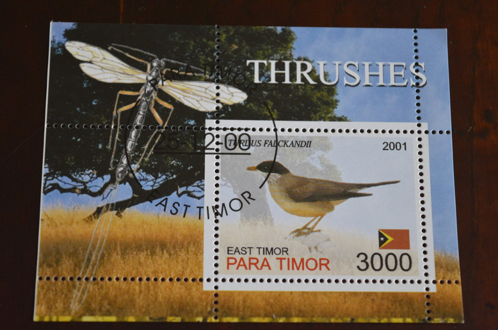 Тимор. Фауна. 2001 год Полтава - изображение 1