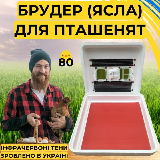 Брудер Рябушка для курчат (ясла) з терморегулятором Київ