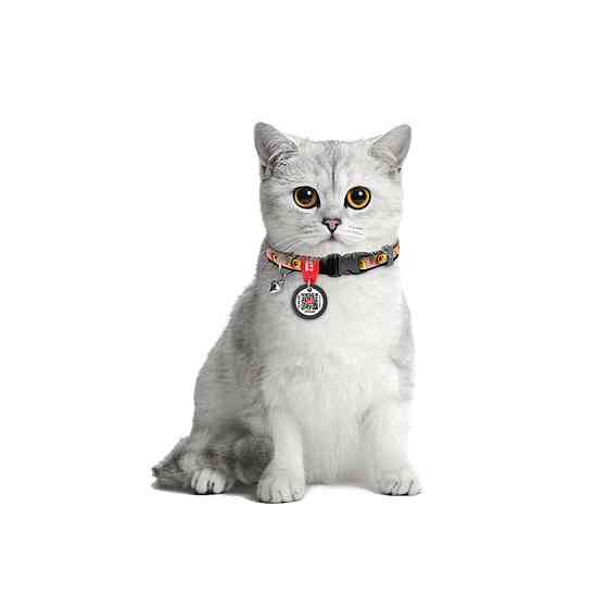 Ошейник для кошек нейлоновый WAUCAT Nylon с QR паспортом, рисунок 