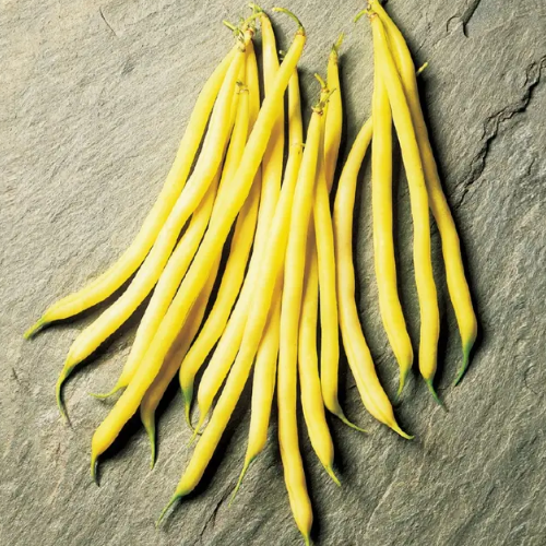 Квасоля спаржева Фруідор жовта 20шт Професійне насіння Житомир - фото 3
