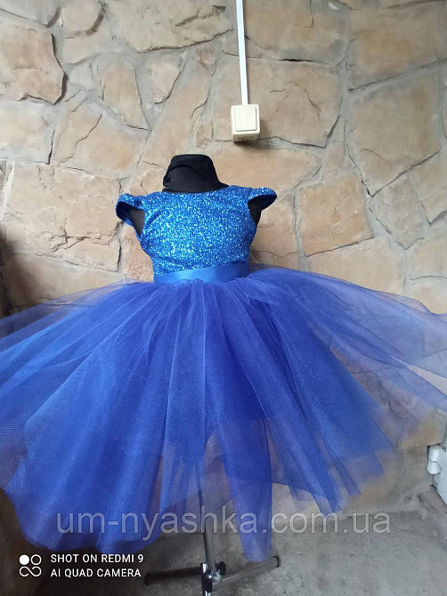 Пышное нарядное синее платье на девочку на 3-5 лет Кривой Рог - изображение 1