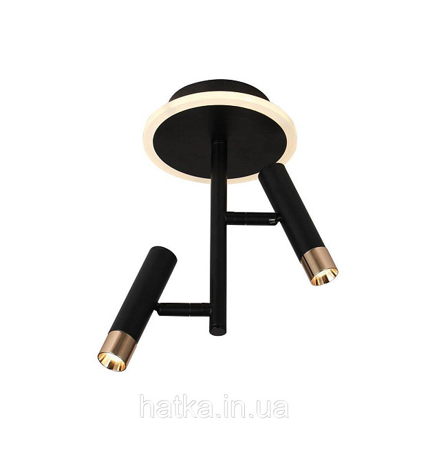 Стельовий світлодіодний світильник G 2917/2 16W Чорний+Золото Київ - фото 1