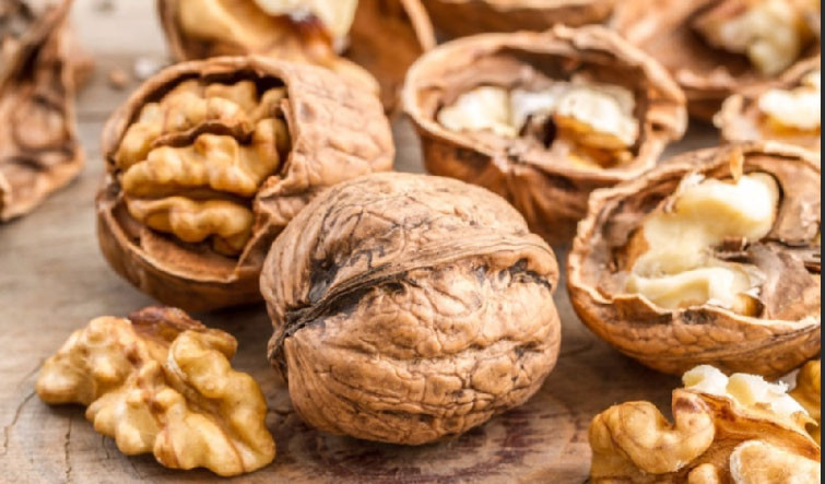 грецький горіх 1 кг Київ - фото 1