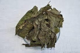 Листя волоського горіха (Грецкий орех лист) 100г master sem Київ - фото 1