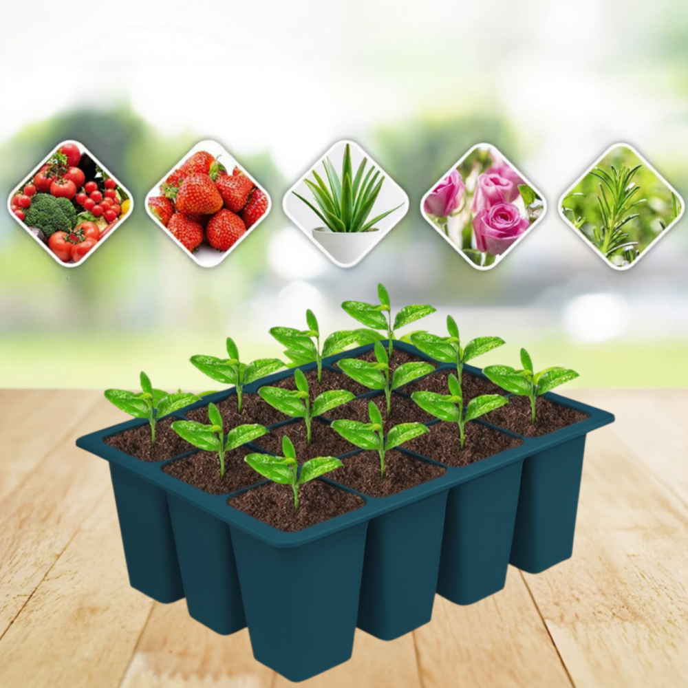 Касета для розсади лоток садовий на 12 комірок, силіконовий, багаторазовий для вирощування насіння, рослин, квітів, синій Кам'янець-Подільський - фото 1