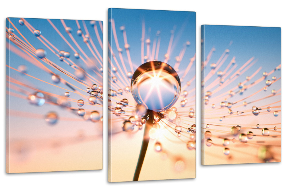 Модульная картина в гостиную / спальню  Каплі води Art-667_3 Київ - фото 1