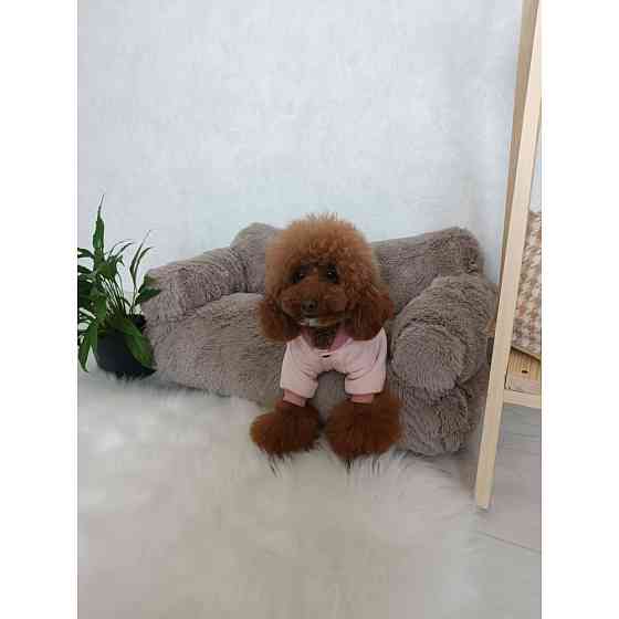 Хутряний диван лежак для собак і кішок спальне місце для тварин знімни Incor капучино 10079 Київ