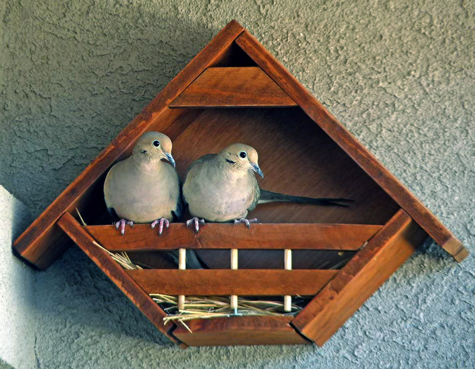 Гнездовье для птиц 