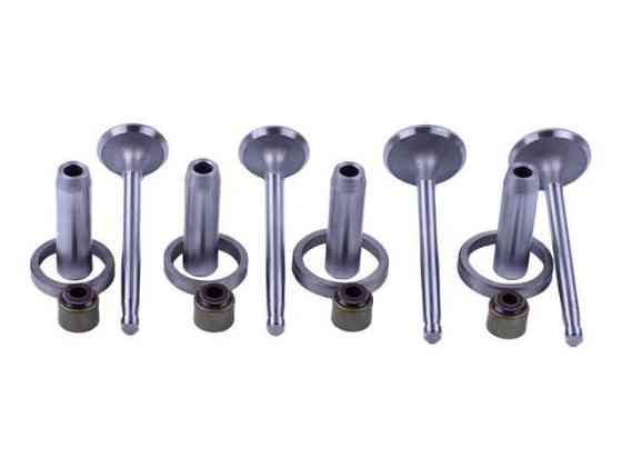 Клапани на трактор Хинтай 220/224 з дизельним двигуном двигателя TY295 мінітрактор, к-т Мукачево