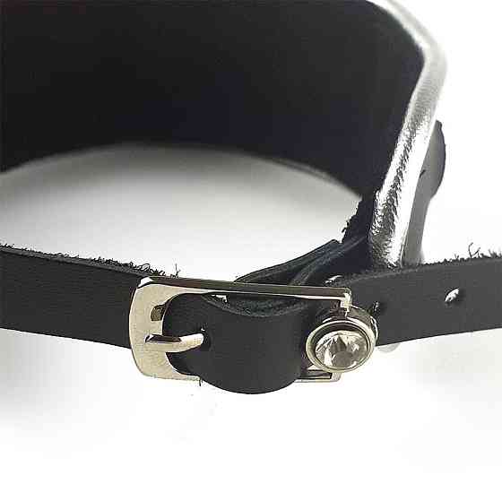 Ошейник из натуральной кожи со стразами и кольцом Art of Sex - Collar Ring Sex Aura Київ