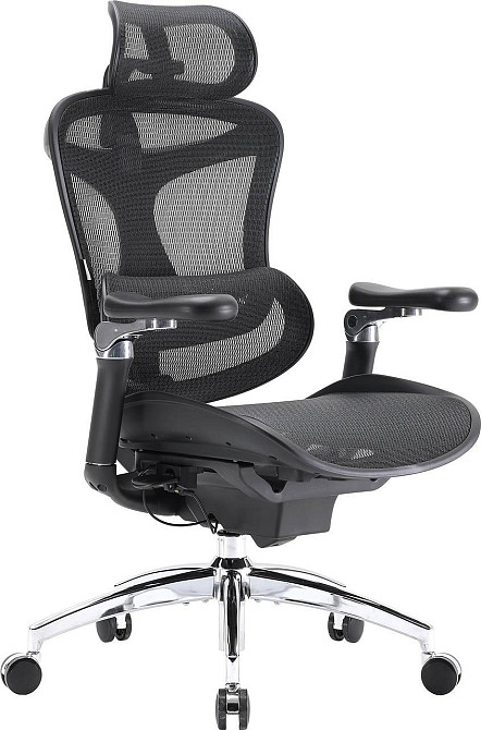 Крісло офісне Sihoo Doro C300 Pro Mesh Black (DORO-C300-PRO-M101) ( 17925 ) Харків - фото 6