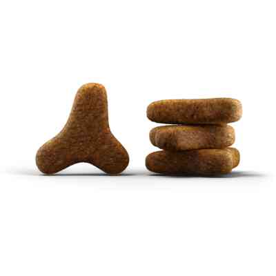 Сухий корм для кішок Josera Catelux 400 г (4032254749080) Вінниця