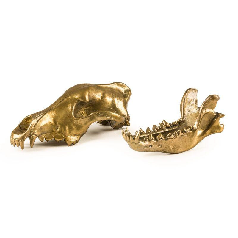 Фигура волчий череп Diesel-wolf skull (14x28х12см) Золотистый Киев - изображение 4