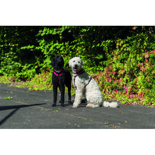 Шлей Trixie Premium для собак червоний S-M 42-60 см х 15 мм Київ - фото 3