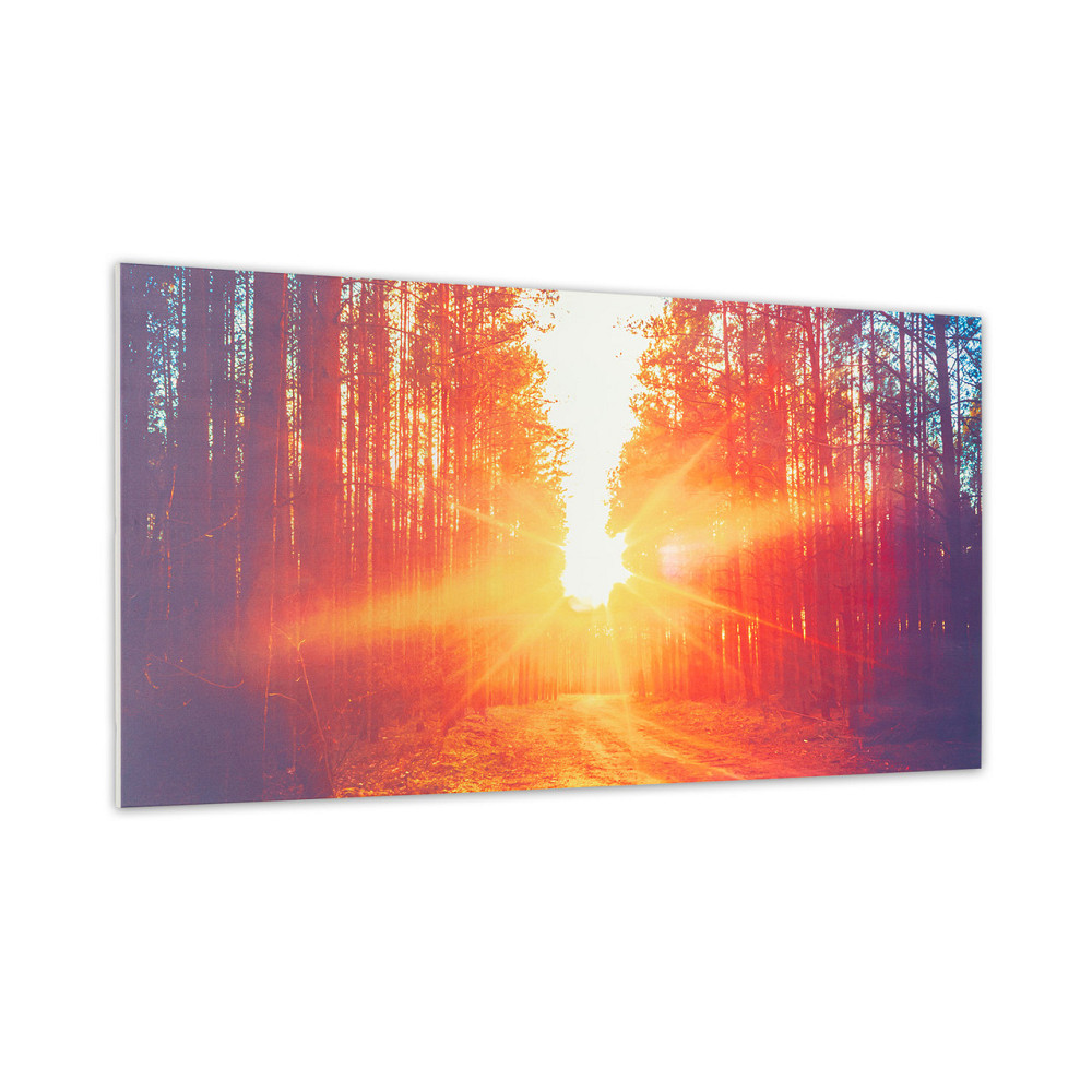 Инфракрасный обогреватель Wonderwall Air Art Infinite 720 120x60 см 120 x 60 см / 720 Вт (Германия, читать Ровно - изображение 1