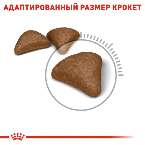 Royal Canin Hairball Care (Роял Канін Хейрбол Кер) корм для котів під час утворення грудочок шерсті в шлунку Запоріжжя