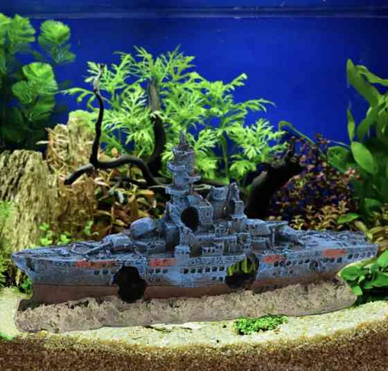 Декор для аквариума 