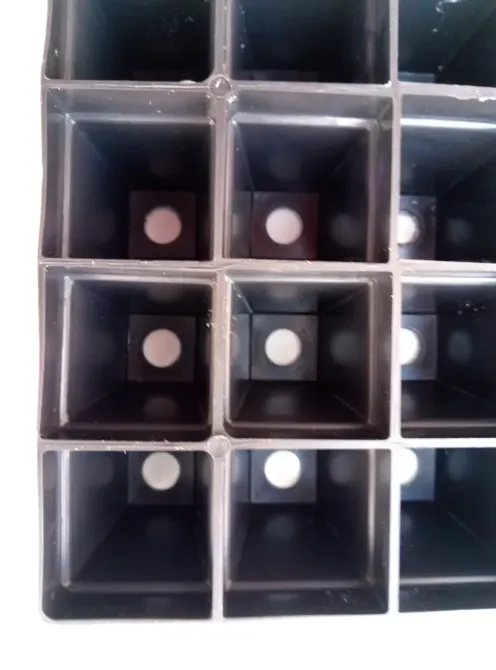 Кассета для рассады (рассадник) 36 ячеек (20×20×4,5 см) Харьков - изображение 4