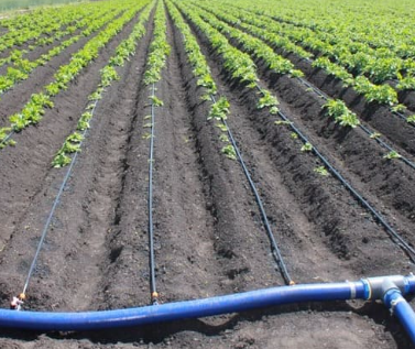 Стартер 50мм для стрічки Туман ( 30шт/уп) Дніпро