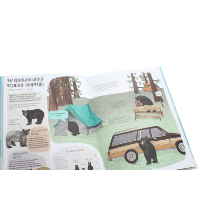 Книга Ведмежа книга - Кейті Віґґерс Жорж (9786177579624) Винница - изображение 5