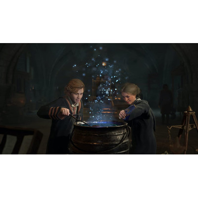 Игра Sony Hogwarts Legacy. Deluxe Edition, BD диск (5051895415412) Винница - изображение 7