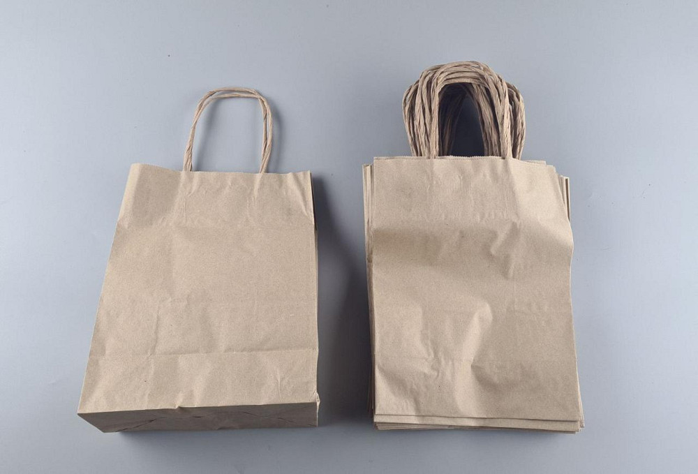 Пакет с ручками бумажный крафт бурий 220х120х290, 50г/м2 (25 шт) Харьков - изображение 2