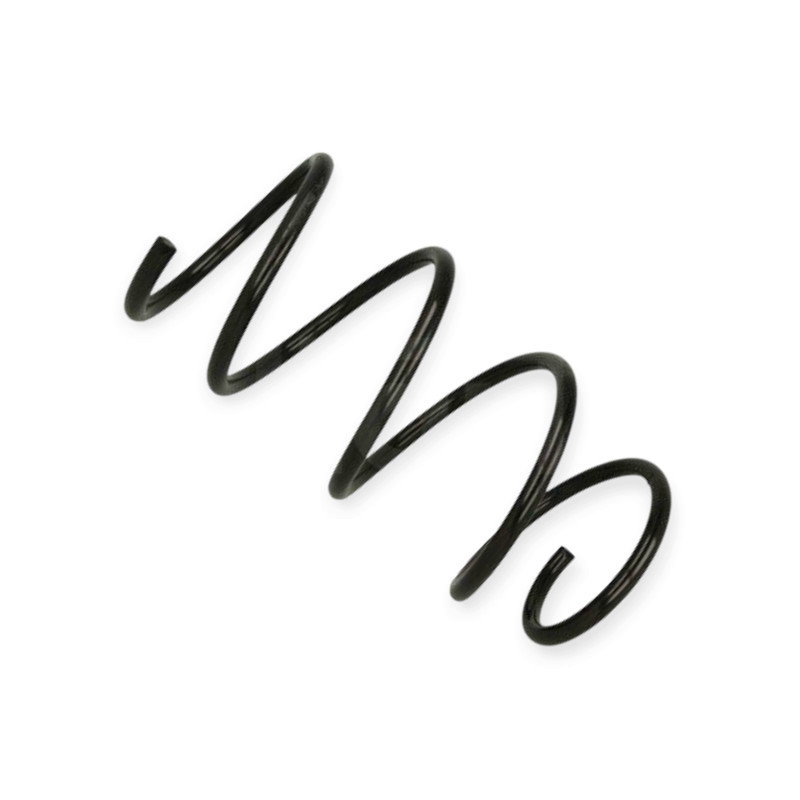 Пружина BMW 5 (E60) 520d, 520-530i (01-10) Мукачево - фото 1