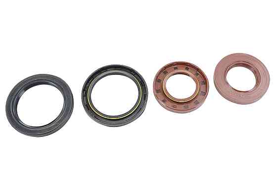 Ремкомплект заднього моста 3302 із сальниками (стандарт) новий зразок прокладок Мукачево