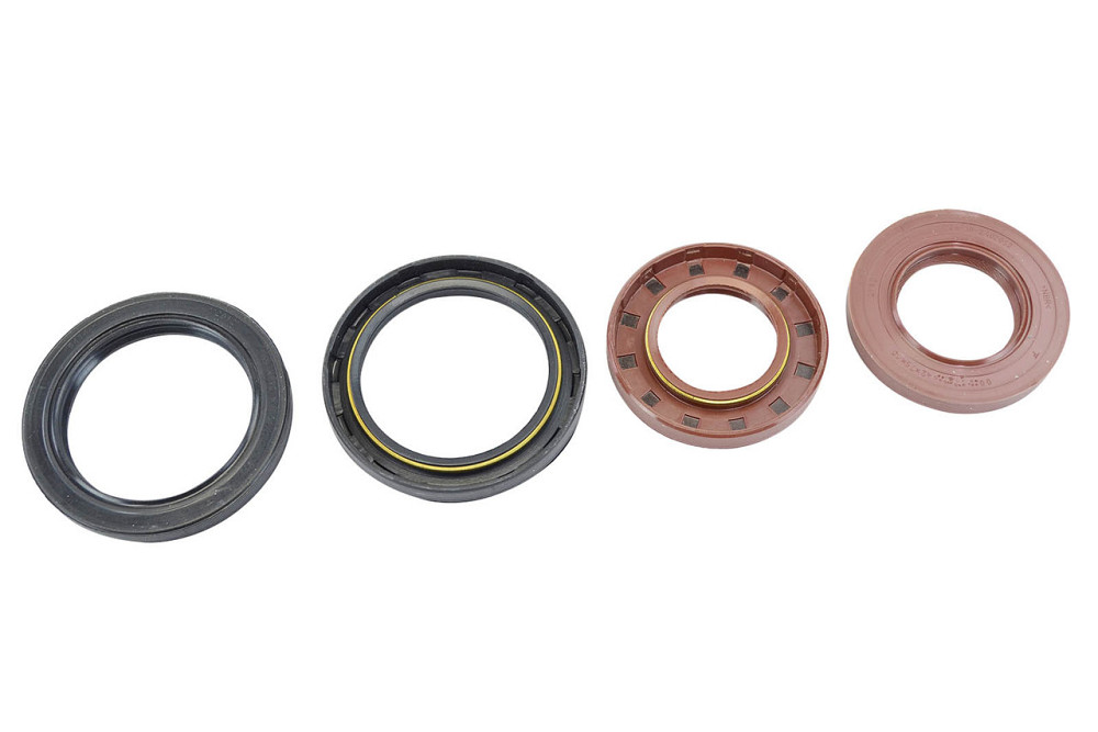 Ремкомплект заднього моста 3302 із сальниками (стандарт) новий зразок прокладок Мукачево - фото 2