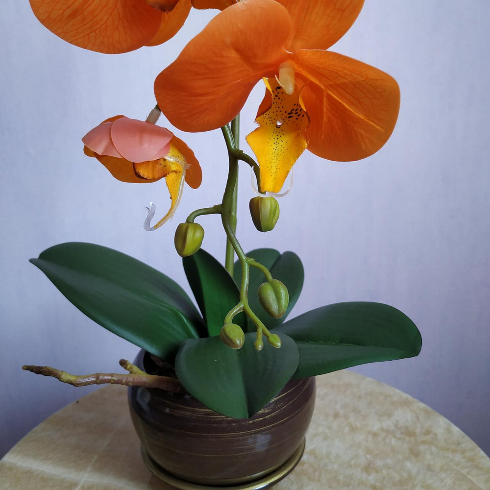 Штучна латексна орхідея VIP у коричневому керамічному кашпо на одну гілку помаранчева Дніпро - фото 3