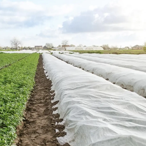 Агроволокно 30гр/м2 (4,2м) 100м (рулон) білий Агрін Житомир - изображение 6