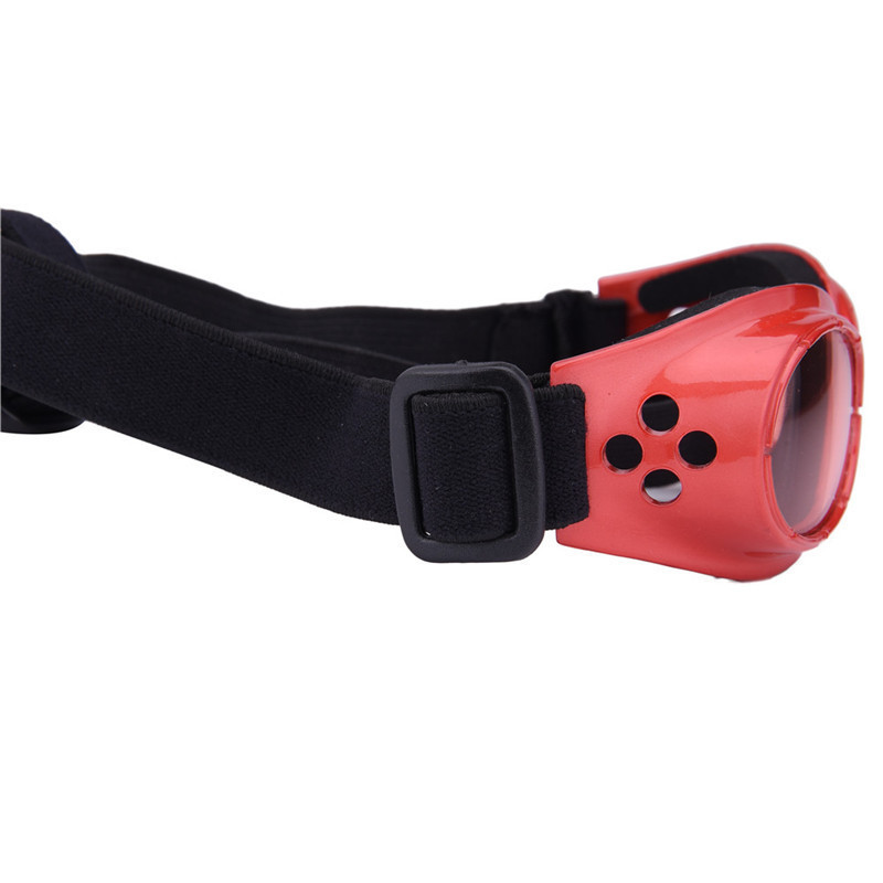 Очки для собак красные Киев - изображение 3